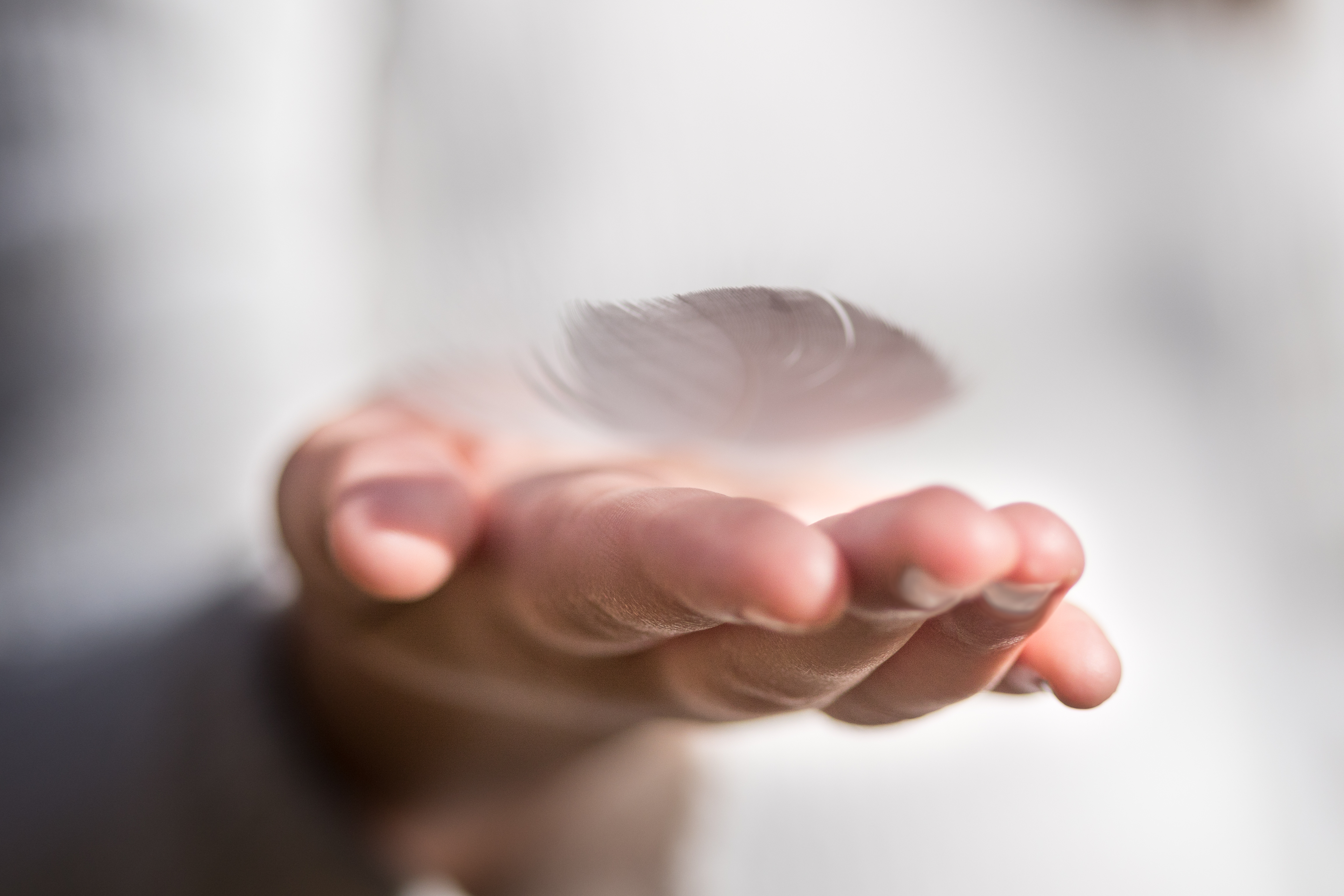 Eine flach ausgestreckte Hand mit einer Feder auf der Handinnenfläche zum Impuls für den Beginn der Fastenzeit in den Einrichtungen der Immanuel Albertinen Diakonie Eine flach ausgestreckte Hand mit einer Feder auf der Handinnenfläche zum Impuls für den Beginn der Fastenzeit in den Einrichtungen der Immanuel Albertinen Diakonie